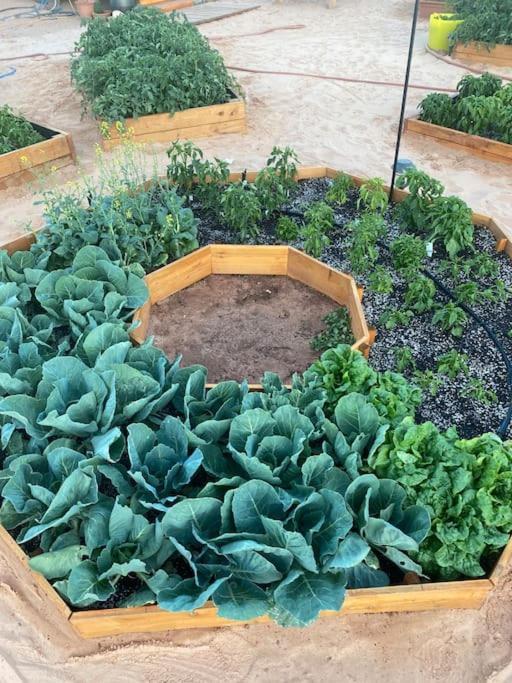 Atlantis Garden Tiny Home Hildale Luaran gambar