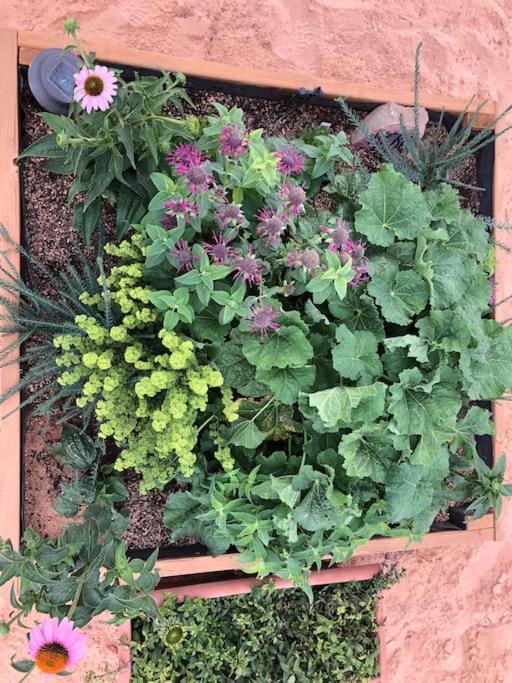 Atlantis Garden Tiny Home Hildale Luaran gambar