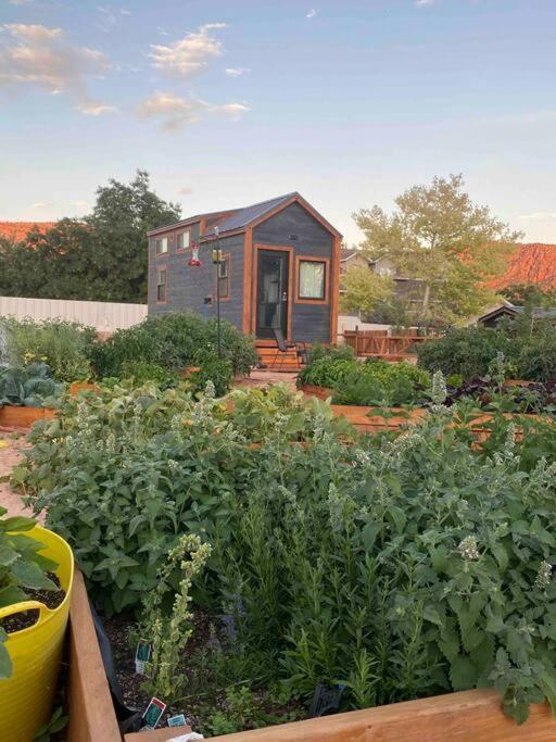 Atlantis Garden Tiny Home Hildale Luaran gambar