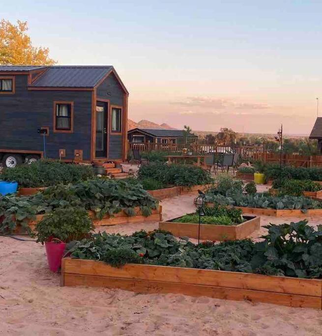 Atlantis Garden Tiny Home Hildale Luaran gambar