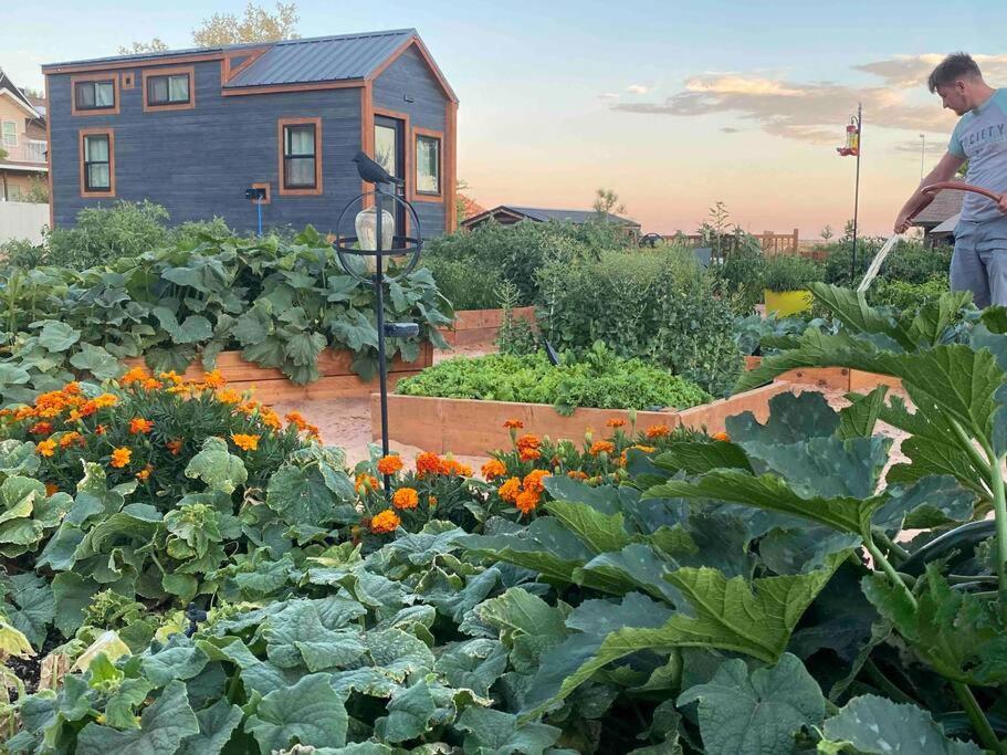 Atlantis Garden Tiny Home Hildale Luaran gambar