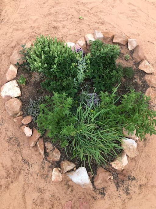 Atlantis Garden Tiny Home Hildale Luaran gambar